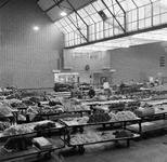 854077 Afbeelding van de bloemenveiling te Aalsmeer.